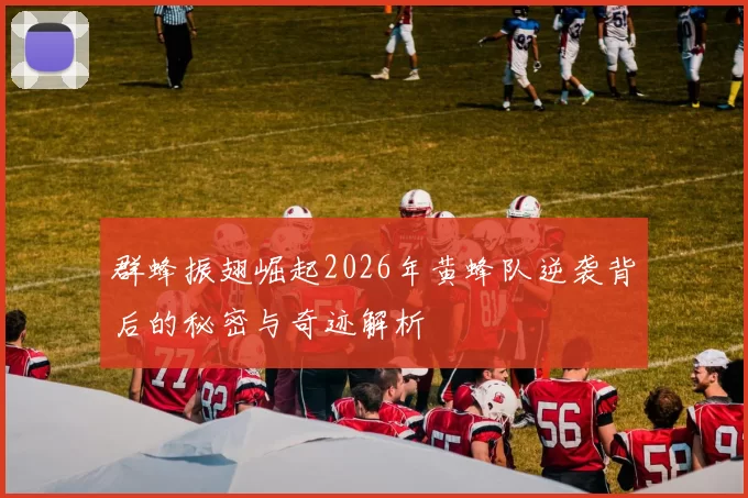 群蜂振翅崛起2026年黄蜂队逆袭背后的秘密与奇迹解析
