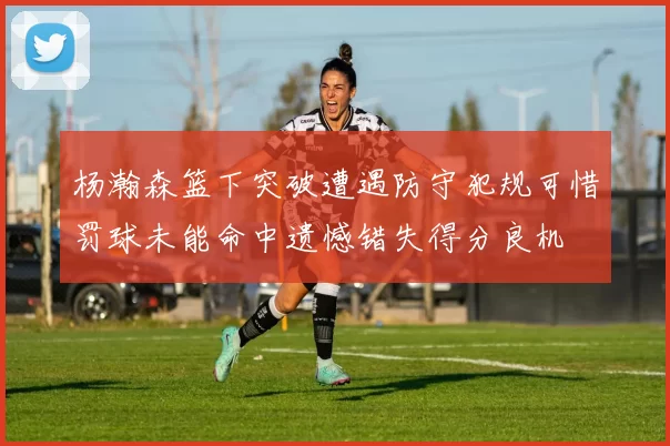杨瀚森篮下突破遭遇防守犯规可惜罚球未能命中遗憾错失得分良机